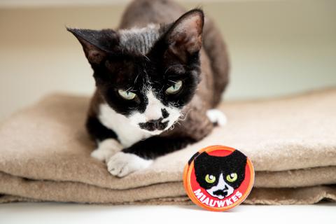 emblemen badges patches i badge pro merchandise bestellen laten maken kopen borduren 18