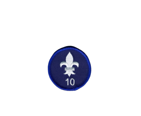 insigne emblemen badges scouting speltakteken insignes laten-maken kopen franse-lelie 2