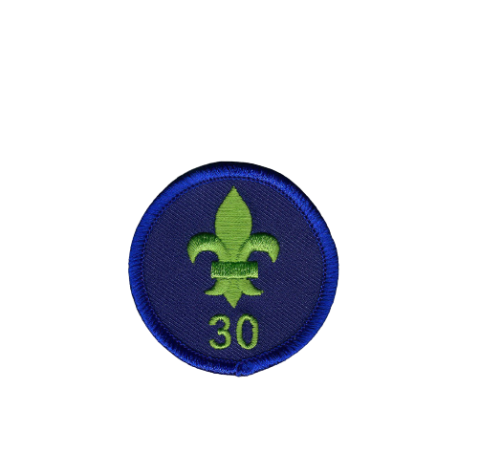 insigne emblemen badges scouting speltakteken insignes laten-maken kopen franse-lelie 3