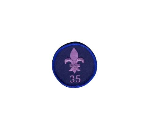 insigne emblemen badges scouting speltakteken insignes laten-maken kopen franse-lelie 4