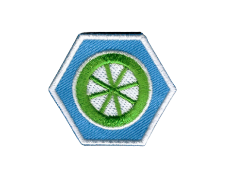 insigne scouting welpenscouts spoorzoeken insigne-laten-maken kopen-
