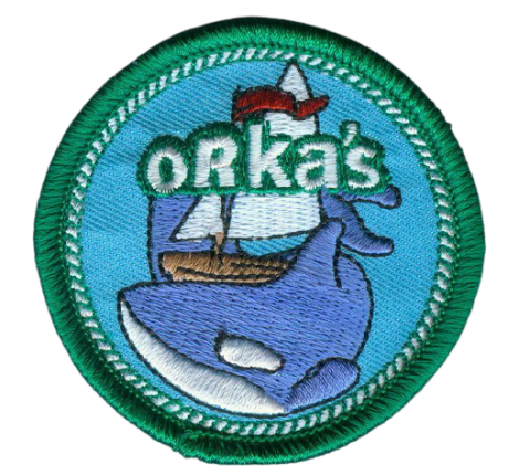 scouting badges insignes emblemen vlag-asten maken kopen vaardigheidsinsignes 4