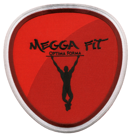 sport logo strijk emblemen badges patches bestellen laten maken kopen 37