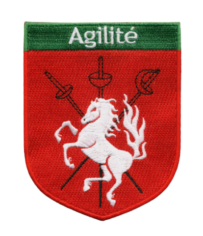 sport logo strijk emblemen badges patches bestellen laten maken kopen 40